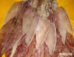 章鱼与鱿鱼的口感有什么区别,章鱼和鱿鱼吃起来的区别有哪些