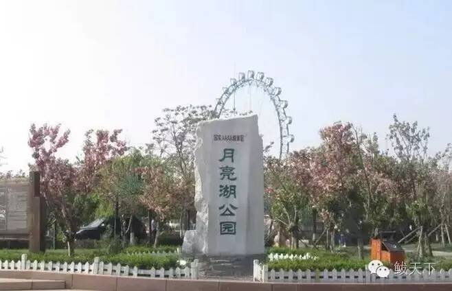 鲅鱼圈旅游景点大全攻略,鲅鱼圈旅游攻略必去十个景点