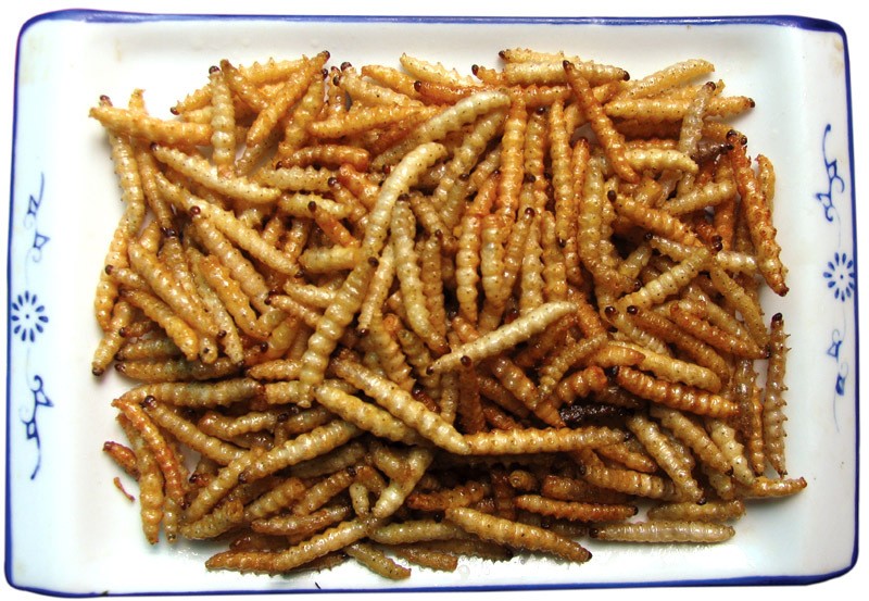 广西10大奇葩菜,广西特色暗黑料理