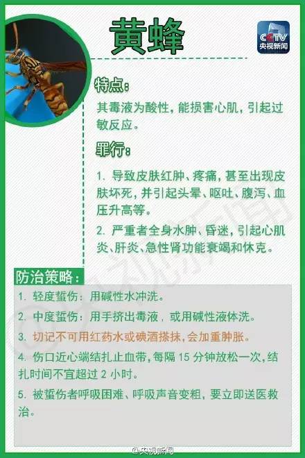 夏天到了，苏州人当心这些小虫，有人进了重症监护室，有人丧了命！