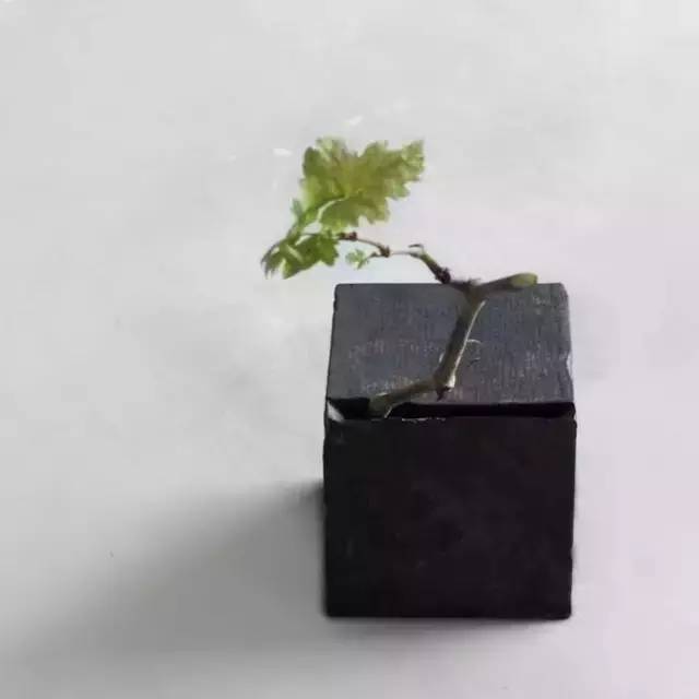 黑陶,黑陶小镇盆窑村