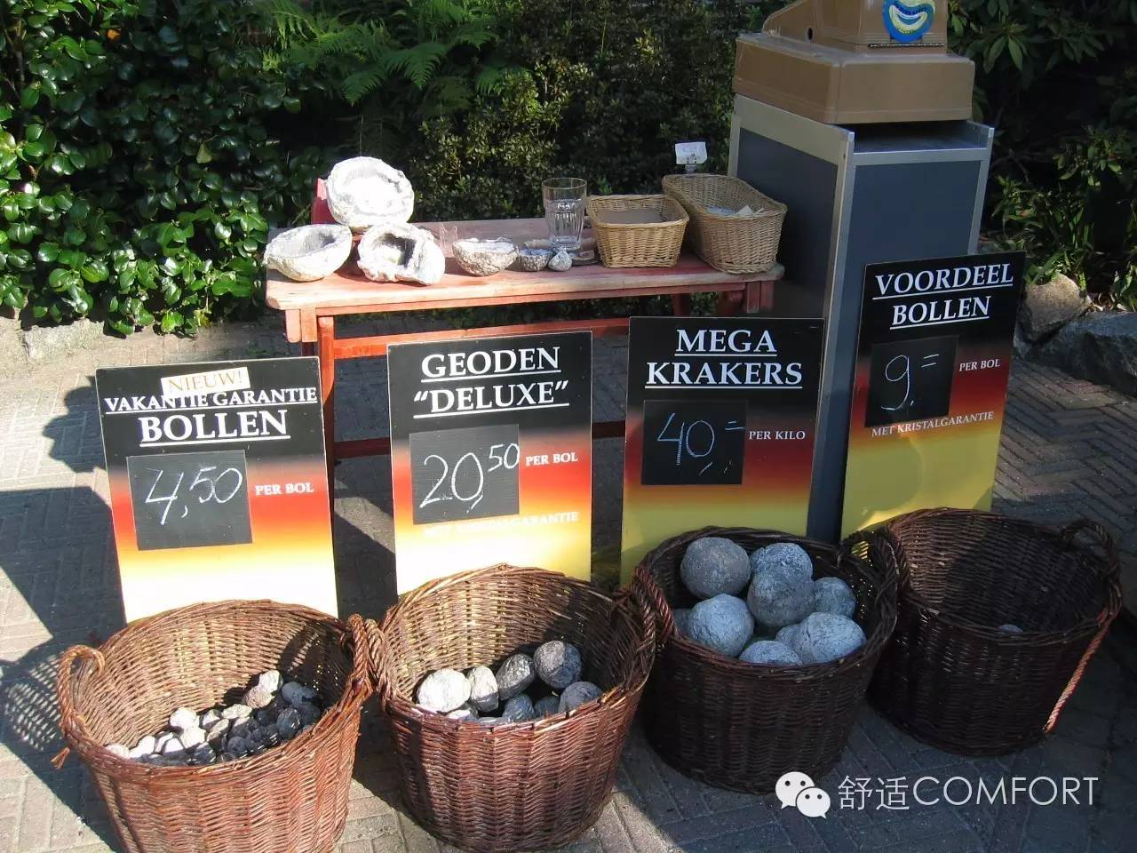 荷兰假期送给孩子最好的礼物