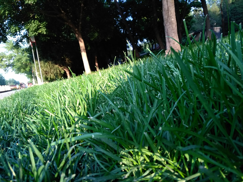 中国移动a2手机配置价格,中国移动发布手机性能测评