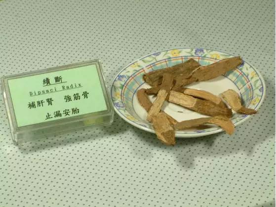 续断治疗骨伤的功效与作用,骨碎补续断当归治骨伤