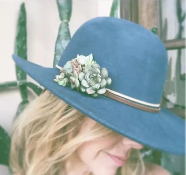 ins多肉,外国大神多肉