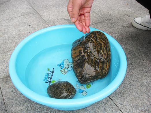 奇石上油,奇石上油视频