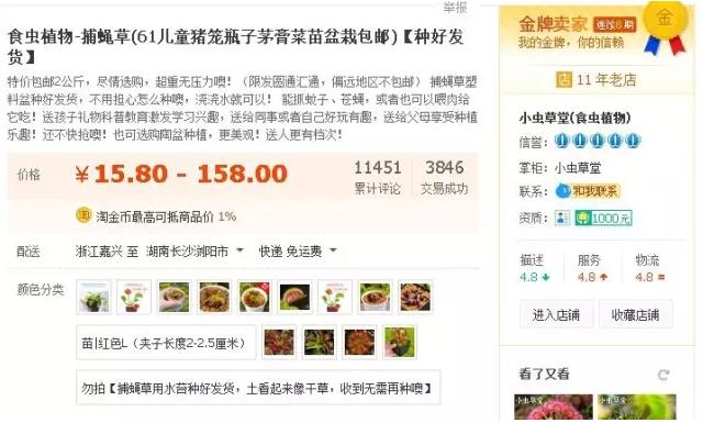 另类电商生意：把植物卖成宠物，把最冷门的做成爆款