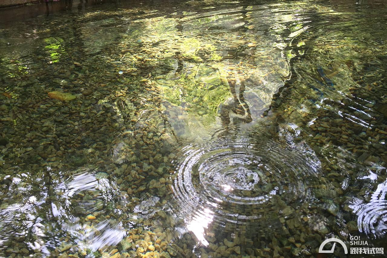 g哥参加的节目,g哥逃离塔科夫