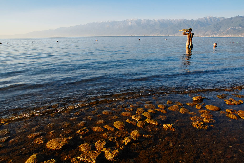 不顺心时候可以像疯狗那样发狂,不顺心的时候你可以像狗