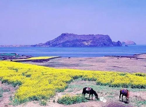 去济州岛玩不被拒签得注意哪些,济州岛拒签护照有拒签章吗