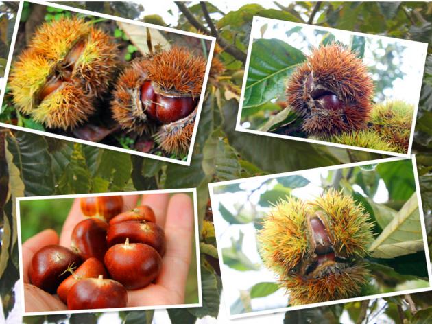 辛开泉：从村淘服务站走出来的电商创业青年