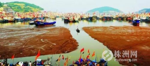 浙江海边小渔村,浙江小渔村自驾