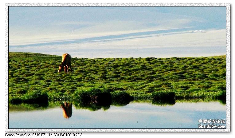 梦里花开——*疆新**，又一次的心动
