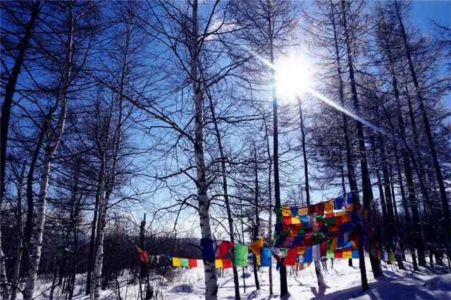 为什么阿尔山是欧洲风格,阿尔山为什么有国门