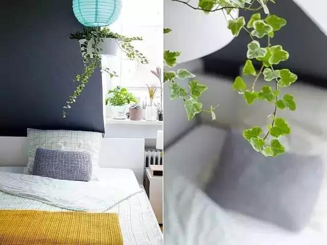 生活中的数字元素,无处不在的自然元素