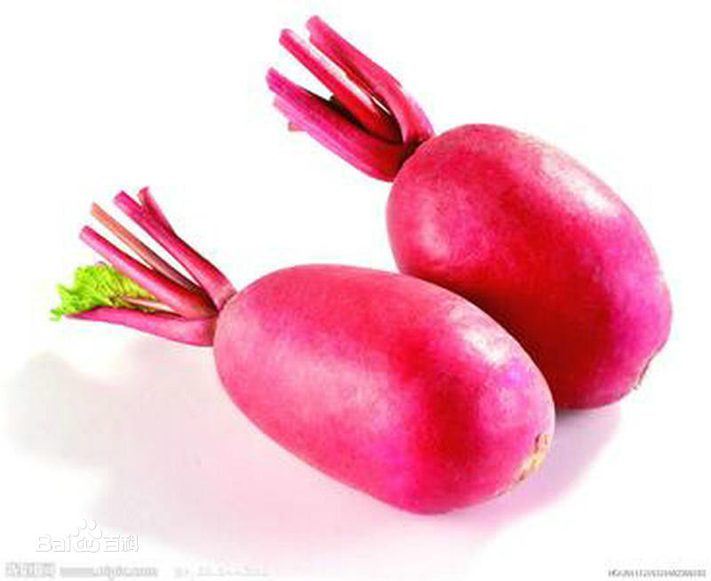 萝卜鸡圆，扬州臧八太爷家制之最精。