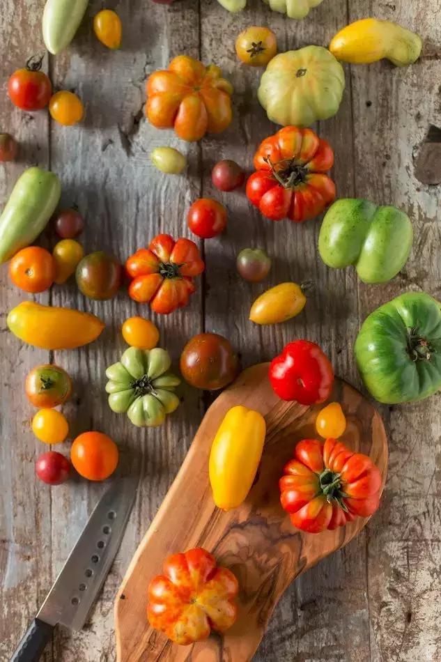 这个男孩子回家租了快地，过起了归园田居的日子