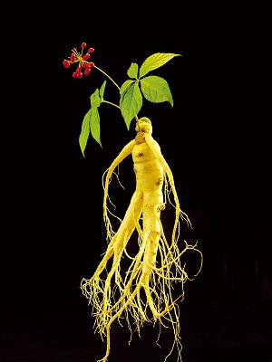 房颤病人不吃华法林,房颤患者服用华法林inr值多少合适