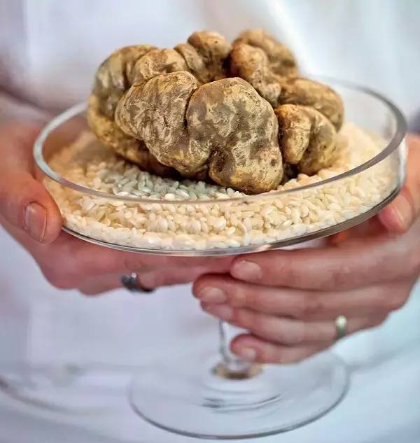 世界上最贵的食物巨型白地菇,世界上十个最昂贵的食物