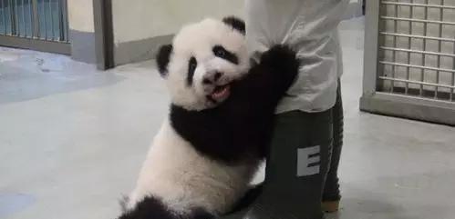 微博和微信朋友圈有什么区别,微信跟facebook同步朋友圈