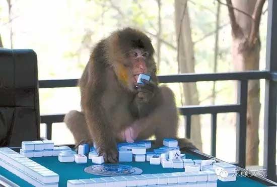 麻将盘出包浆,麻将怎么做旧的