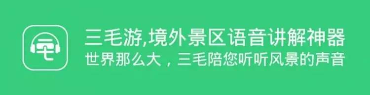 抹茶控广州增城,抹茶控的抹茶