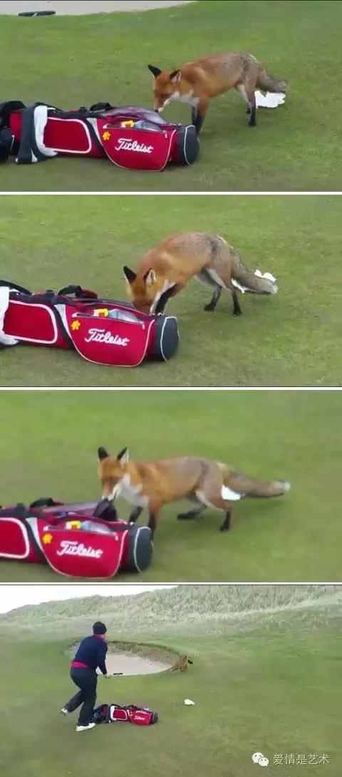 互联网上千奇百怪的图片,网络古怪图片