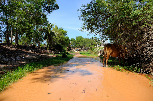 越南美奈溪美景,越南美奈越南语