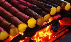 潮汕什么水果可以蘸酱油吃,潮汕人吃水果泡酱油