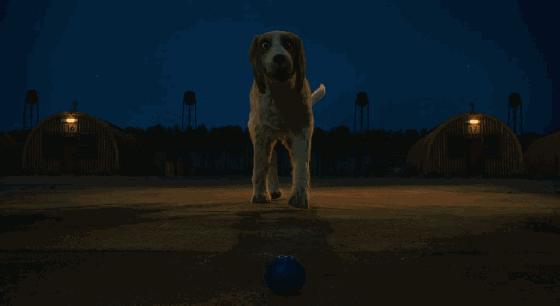 疯狂动物城狐狸尼克,疯狂动物城尼克狐狸