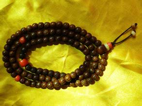 比较大的菩提,你认识多少种野果