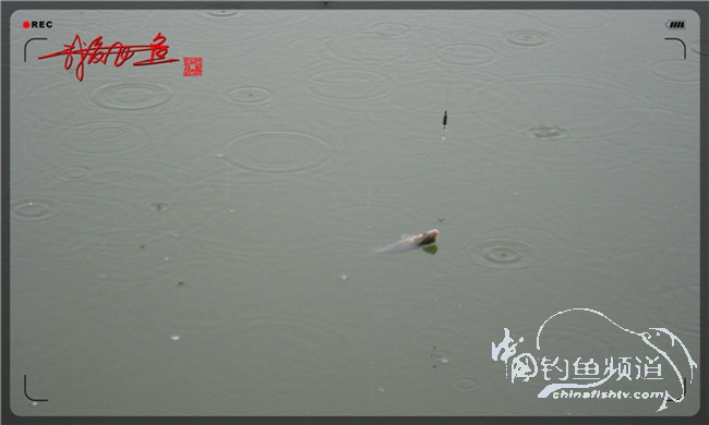 风雨无阻之我爱飞鱼去‘*欢寻**’！