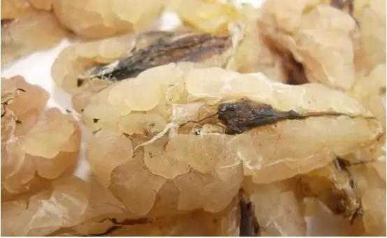 滋阴益精的宫廷贡品——哈蟆油