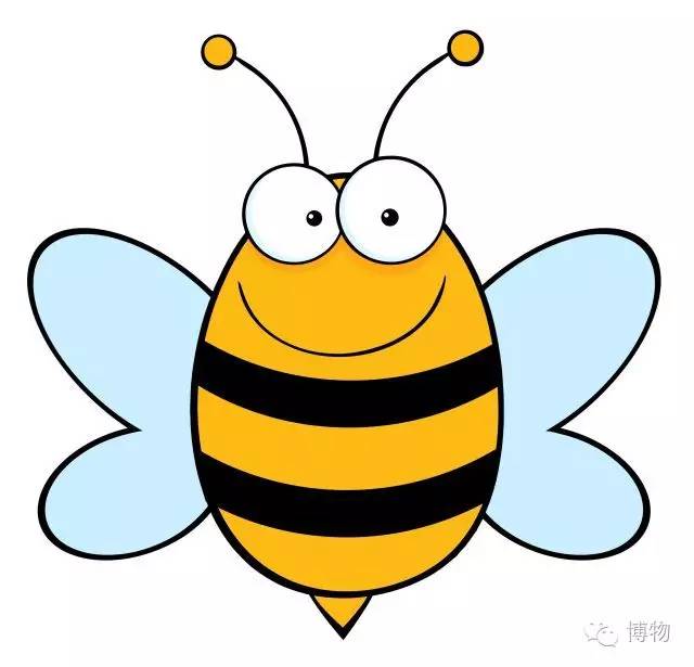 傻傻分不清楚的昆虫界cosplay