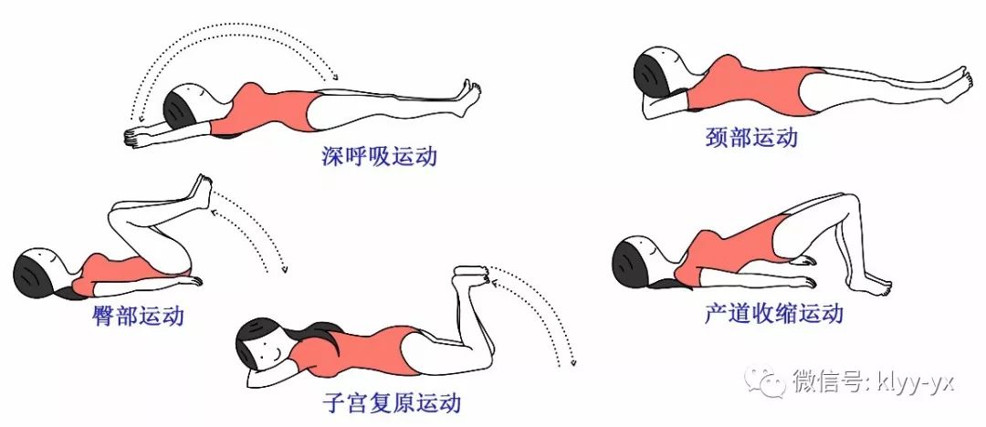 顺产生完孩子多久子宫恢复原状,生完孩子子宫脱落怎样恢复