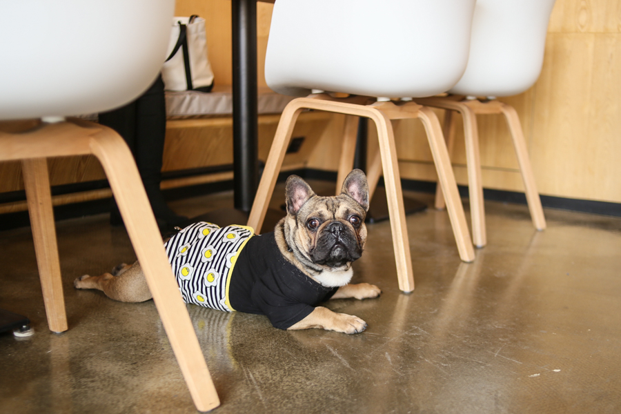 飞利浦无绳吸尘器有用吗,飞利浦哪款无绳吸尘器好