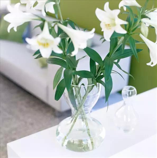 3岁男孩舔了一口,抢救8小时才抢救了回来,这东西你家一定也有