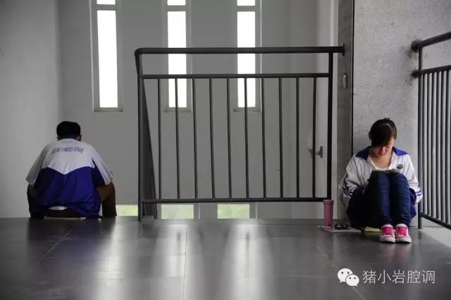 高考，那个小婊砸