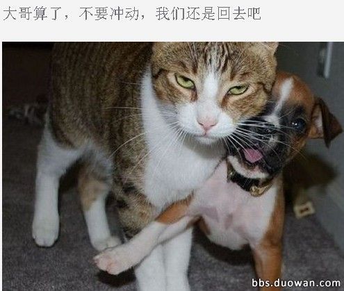 三菱劲炫2.0四驱改装越野,三菱asx劲炫越野视频