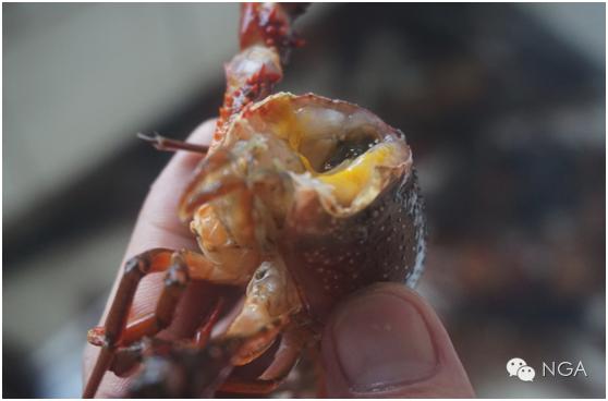 学做小龙虾最简单的方法,学做半成品小龙虾