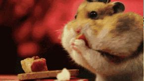 这七种食物越吃越瘦,什么零食越吃越瘦还解馋