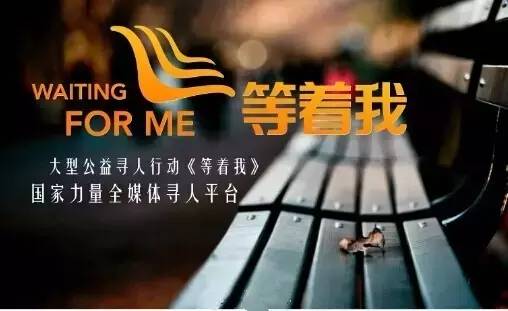 等着我寻亲现在是星期几,等着我寻人节目