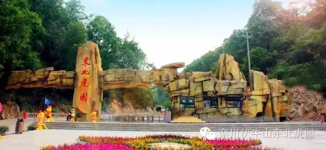 这个端午节要这样玩，千万别错过了！