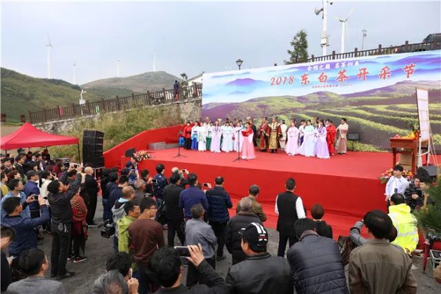 会稽之巅,东阳市婺州东白茶开采节