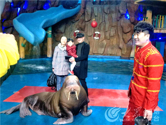 烟台：驯养师与海狮伙伴“贝克”的故事