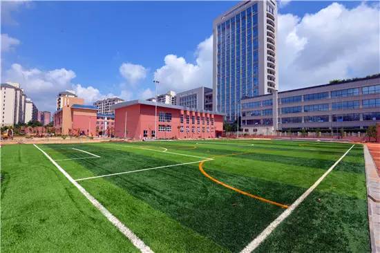 公告青秀区新添四所公办小学,今年九月招生(玉兰路小学、百花岭路小学、民主路小学佛子岭路校区、林里桥中段小学)