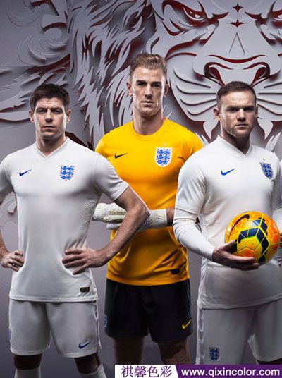 色彩培训课一般学什么,色彩培训视频