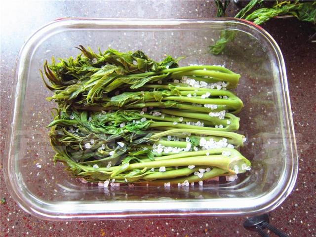 香椿芽腌制方法好吃还放不坏,香椿芽的腌制方法和时间