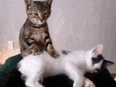 25岁以上“中老年人”保健必备?这种东西我劝你还是别买了