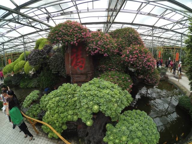 带上小蚁运动相机游潍坊（三）寿光菜博会